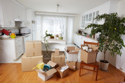 Van driver loading furniture for a man with van in S job