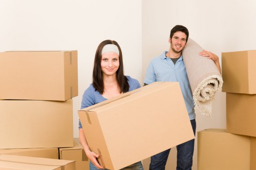 Different size removal trucks available for local moves